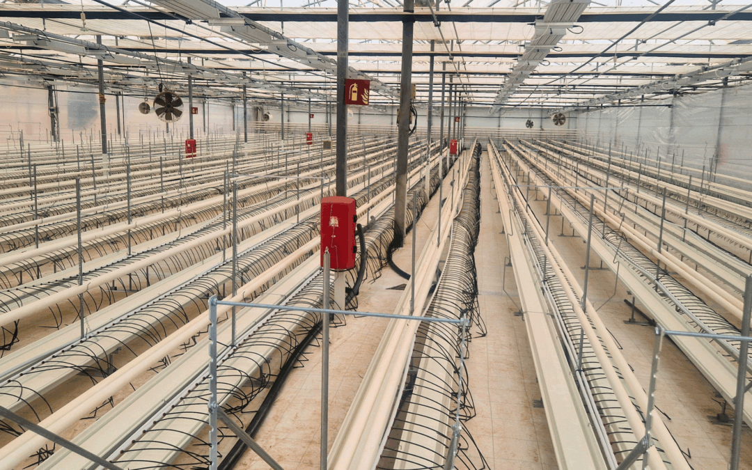 SDC finaliza la instalación del sistema de calefacción en los nuevos invernaderos de Linneo Health en Murcia
