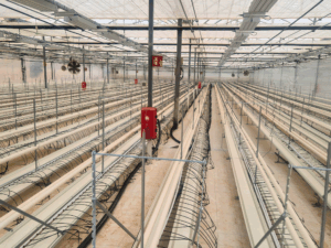 SDC finaliza la instalación del sistema de calefacción en los nuevos invernaderos de Linneo Health en Murcia