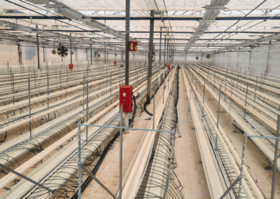 SDC finaliza la instalación del sistema de calefacción en los nuevos invernaderos de Linneo Health en Murcia