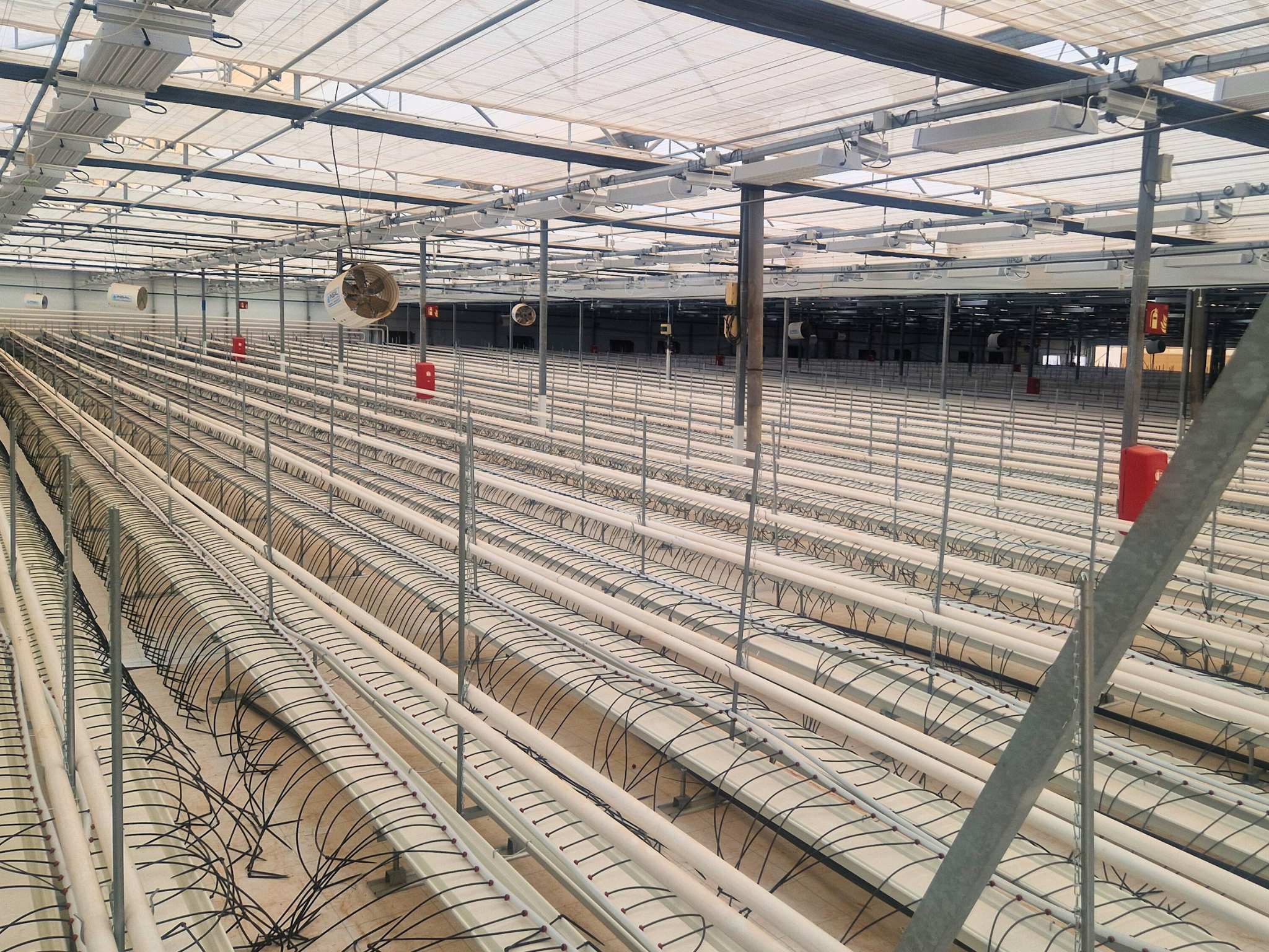 invernaderos Linneo Murcia  SDC finaliza la instalación del sistema de calefacción en los nuevos invernaderos de Linneo Health en Murcia