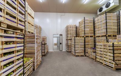Conservación de frutas y verduras en cámaras frigoríficas industriales