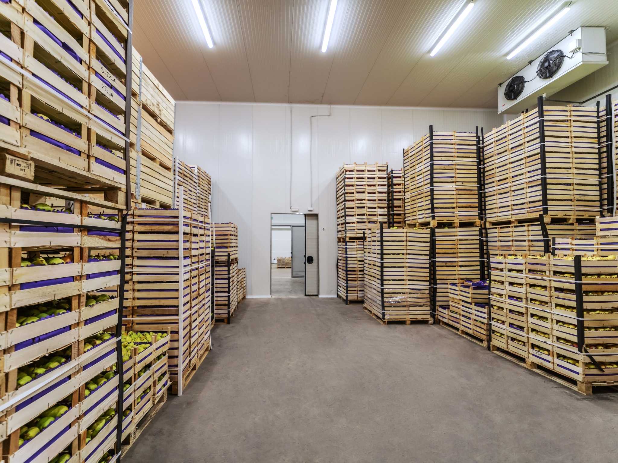 En Sistemas de Calor, contamos con una amplia experiencia en el diseño y construcción de cámaras frigoríficas industriales específicas para el sector hortofrutícola