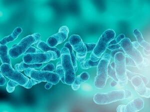 SDC prevención de la legionela