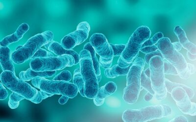 La importancia del tratamiento del aire frente a bacterias como la Legionela