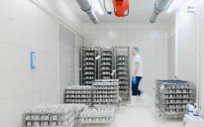 Restablecimiento de servicios tras el Gran Apagón y el mantenimiento en sistemas frigoríficos industriales